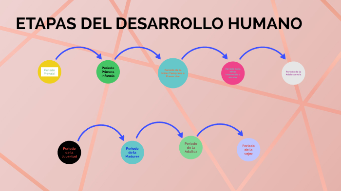 etapas del desarrollo humano-primaria b by Alicia Tarrillo Correa on Prezi