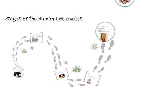 Stages of the Human Lifecycle by Fabio Rodriguez