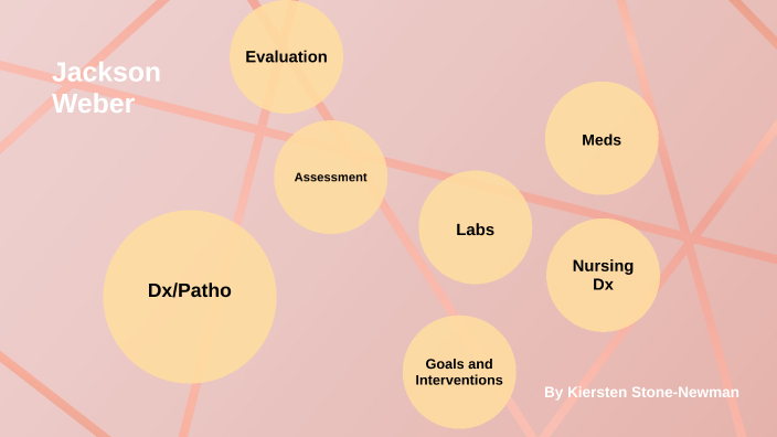 Jackson Weber Vsim Concept Map Concept Map - Jackson Weber By Kiersten Stone-Newman