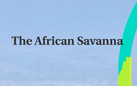 Food Chain Of The African Savannah By Arvin Arvin
