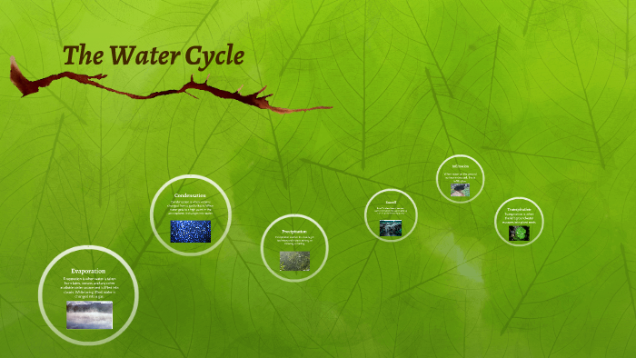 The Water Cycle by Natelyn Moore on Prezi