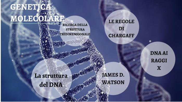 molecolare by Aurora Pizzera on Prezi