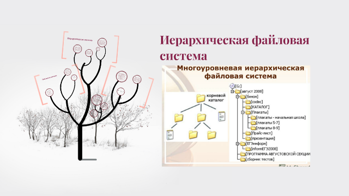 Графическое изображение иерархической структуры называется. Иерархическое дерево Николаевых. Файловая система схема в виде дерева. Иерархическая классификация шоколада. Иерархическая модель здоровья.