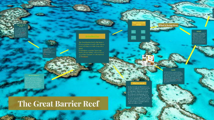 Save the Great Barrier Reef by lorelei cook on Prezi