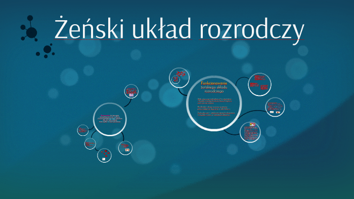 Żeński układ rozrodczy by A Ga on Prezi