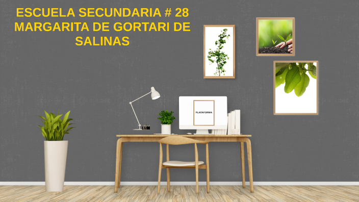 Secundaria 28 Margarita De Gortari De Salinas