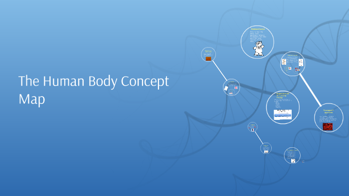 The Human Body Concept Map by Vincent Payne on Prezi