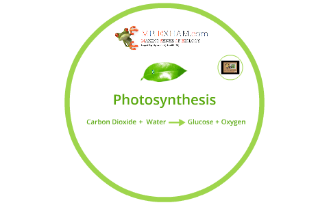 Describe simple controlled experiments to investigate photos by Mr ...