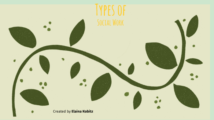 types-of-social-work-by-elaina-kobitz-on-prezi