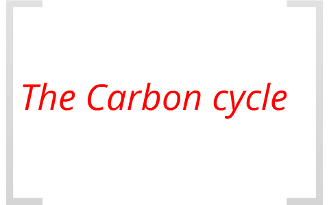 The Carbon Cycle by Jareth corney on Prezi