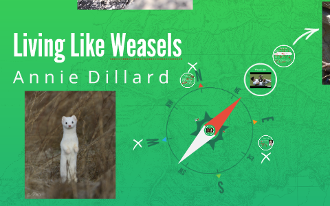 Living Like Weasels By Madison Jones