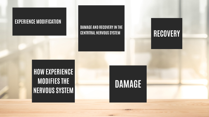 EXPERIENCE MODIFICATION by Jayvee Ignacio on Prezi