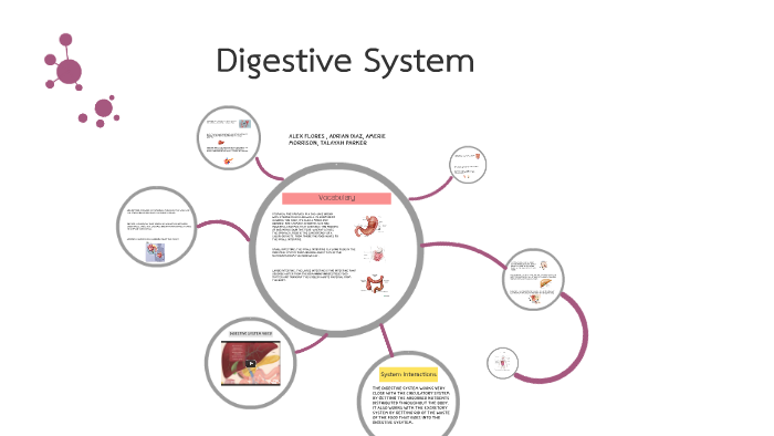 Digestive system Project by Adrian Diaz on Prezi