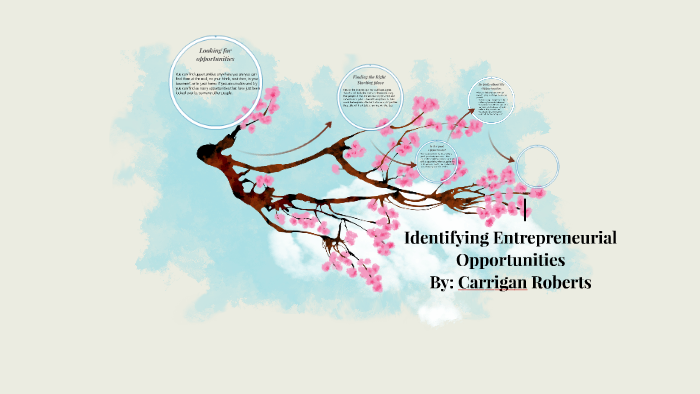 identifying-entrepreneurial-opportunities-by-carrigan-roberts