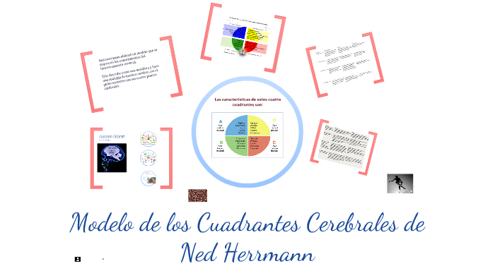 CUADRANTES CEREBRALES. NED HERRMANN by Jimena García-Pardo Alonso on Prezi  Next