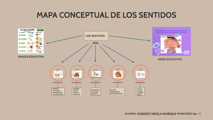 Mapas Conceptual Los Sentidos Marjorie By Profesor Cacv Aula On Prezi