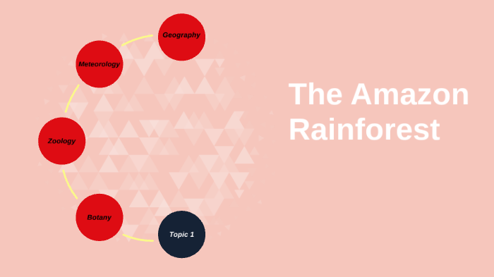 The Amazon Rainforest by Bryan Lewis on Prezi