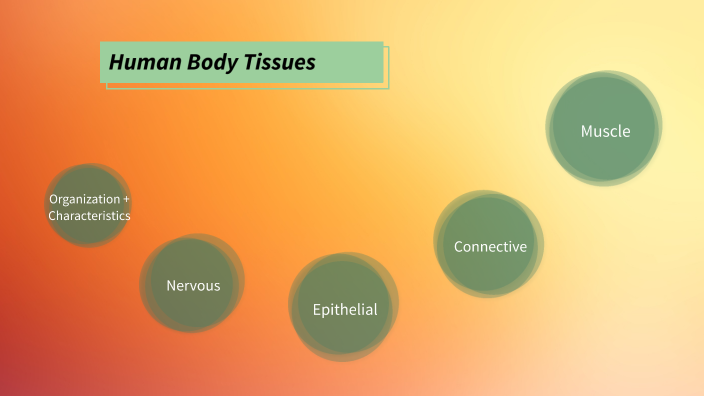 Tissue Project by Isa Healey on Prezi