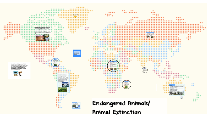 Endangered Animals Around the World by Elizabeth Harris on Prezi