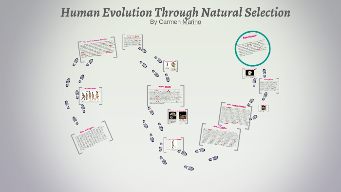 Human Evolution by Carmela marino on Prezi