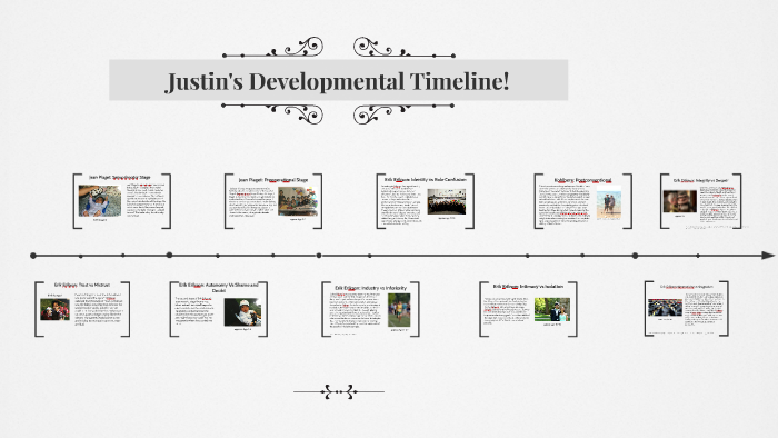 AP Psychology 4.1.3 Practice Developmental Timeline by Justin