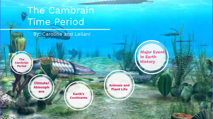 cambrian period plants
