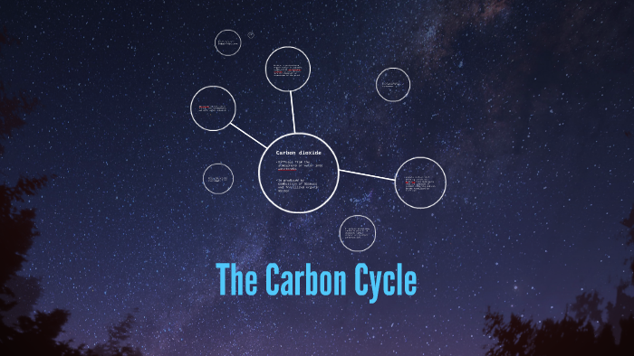 The Carbon Cycle by Sarah Williams on Prezi