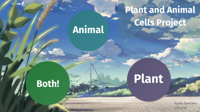 Animal and Plant Cells by Paola Sanchez on Prezi