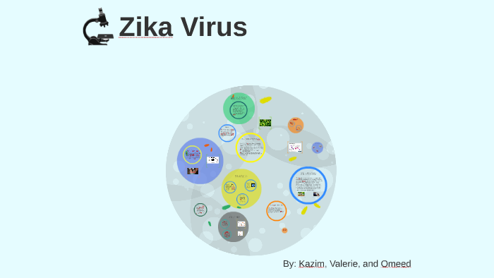 Zika Virus By Kazim Mirza