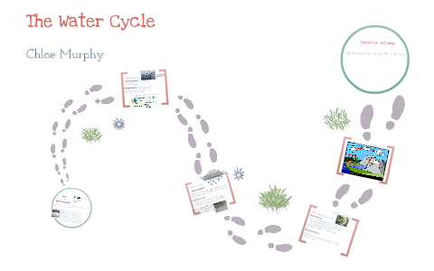 the water cycle by chloe murphy on Prezi
