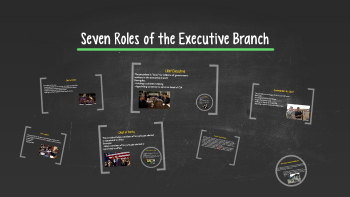 Seven Roles Of The Executive Branch By Courtney Heinlein