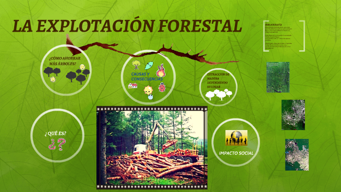 La ExplotaciÓn Forestal By Irene Melero On Prezi 1861