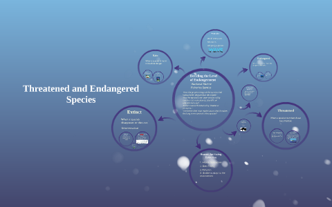 Threatened and Endangered Species by Liz B. on Prezi