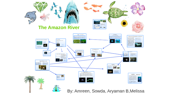 The Amazon River By Amreen Dhillon