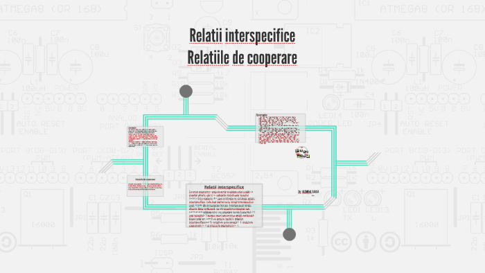 desk Cyber ​​space convertible Relatii interspecifice - Relatiile de cooperare by Jasmine Saraj