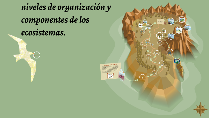 niveles de organizacion y componentes de los ecosistemas. by Erwin Lopez