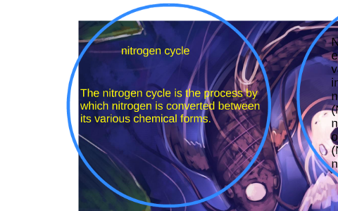 nitrogen cycle by ashton winner on Prezi