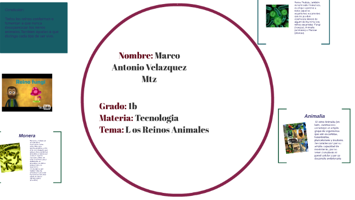 Los Reinos Animales by Marco Antonio Velazquez Martinez on Prezi