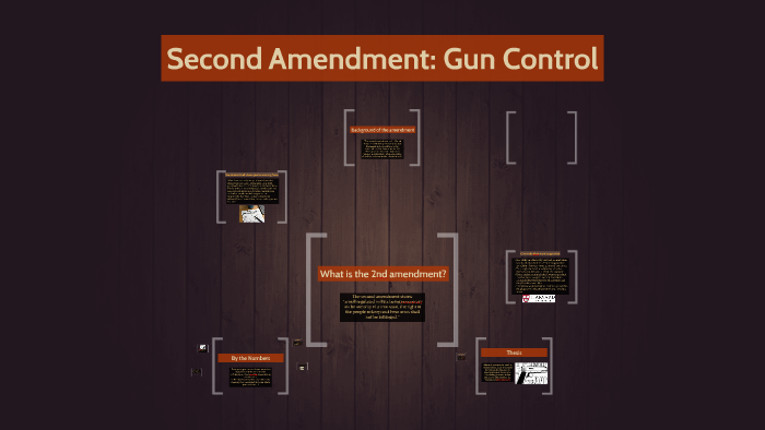 2nd amendment essay on gun control