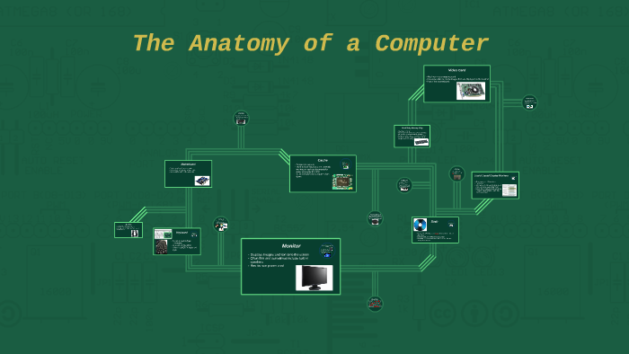 pc anatomy | pptx Images High Quality Grahic Anatomy of a Computer by Alexandria Habra on Prezi