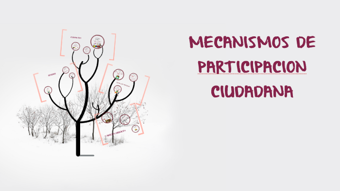 MECANISMOS DE PARTICIPACION CIUDADANA By Erika Nataly Nuñez Castellanos ...