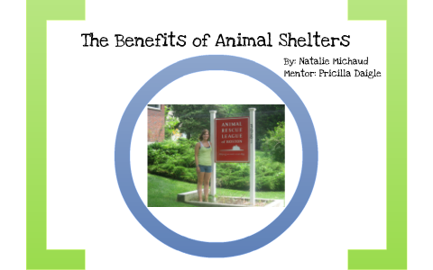 Benefits of Animal Shelters by Natalie Michaud on Prezi