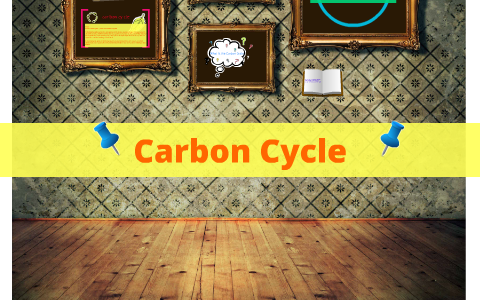 Carbon Cycle by Sydni Smith on Prezi