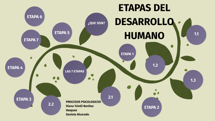 El desarrollo biológico del ser humano by Diana Tzintli Benitez Vazquez ...