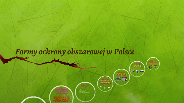Formy ochrony obszarowej w Polsce by Maja Krzyżanowska on Prezi