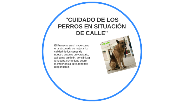 CUIDADO DE LOS PERROS EN SITUACIÓN DE CALLE By Aquiles Veas