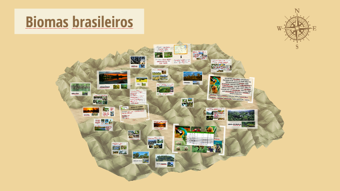 Biomas brasileiros by Marcelo Velame on Prezi