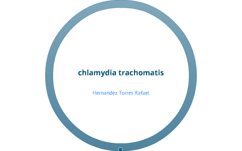 Chlamydia trachomatis bacteria o parásito