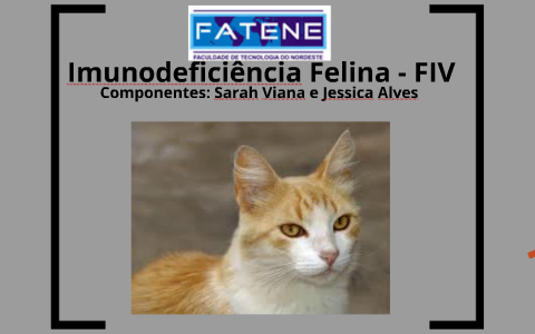 Imunodeficiência Felina - FIV by sarah viana on Prezi