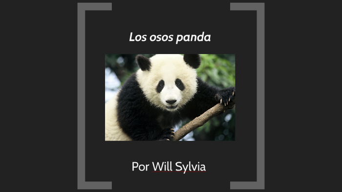 Los Osos Panda By Will Sylvia On Prezi